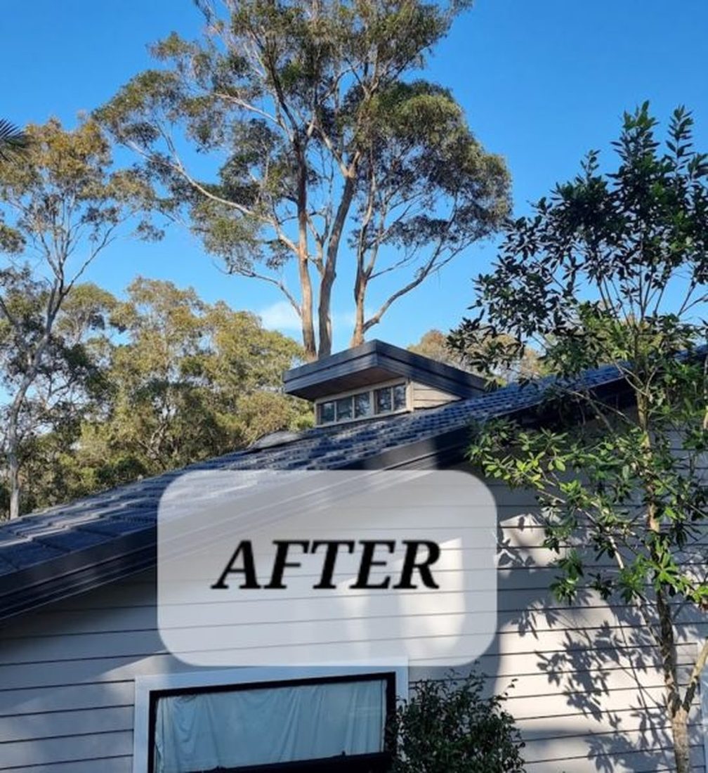 The same roofline after the gum was removed